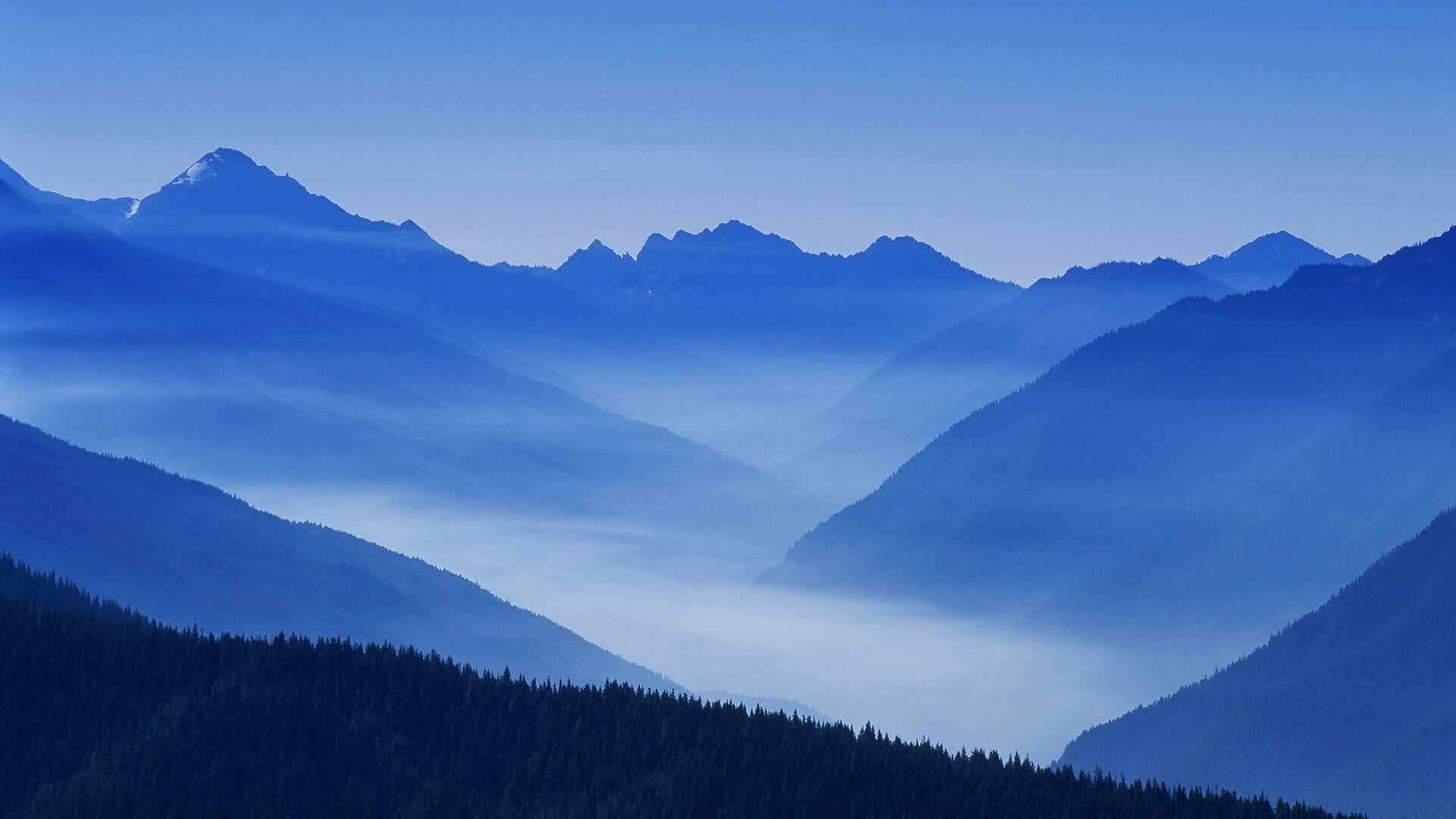世界冰球联赛：北美球队强势回归，北美冰球职业联赛排名